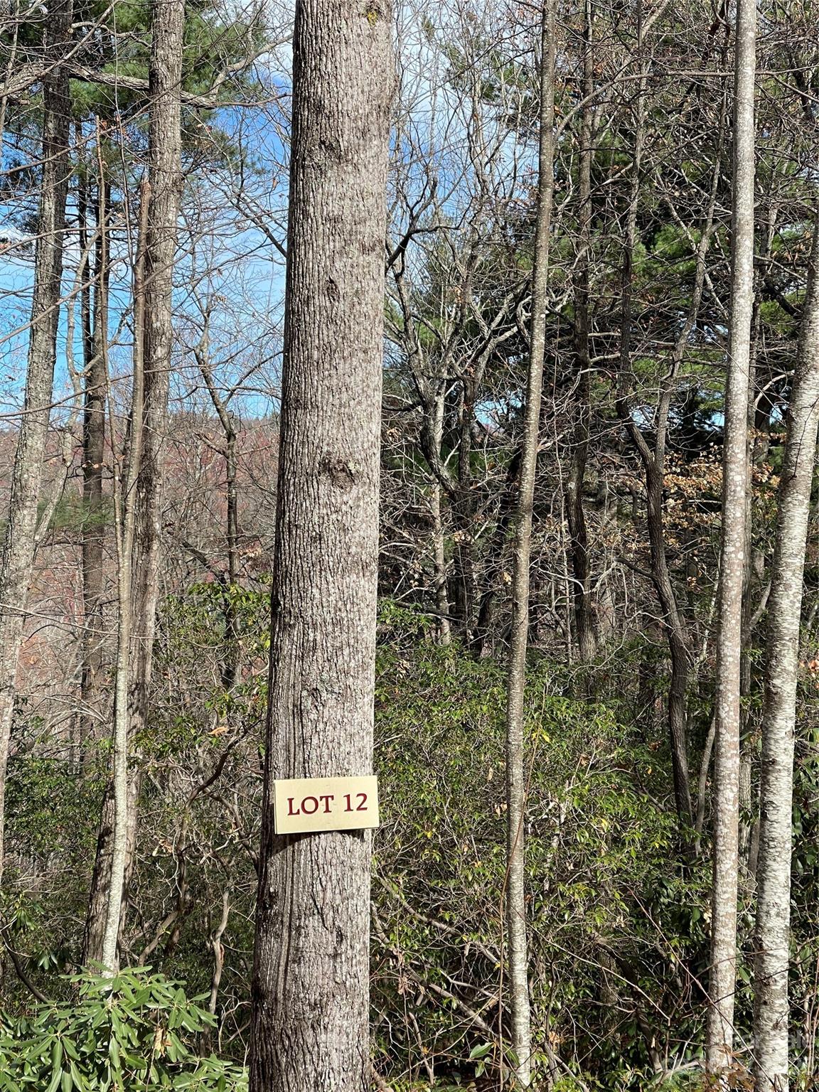 Property at 000 Eagle Ridge Road, Zirconia, NC 28790