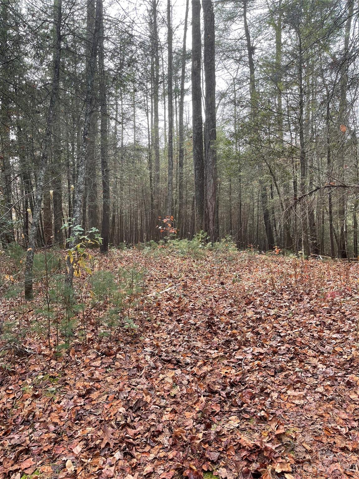Property at 50 Mountain Escape Drive, Zirconia, NC 28790