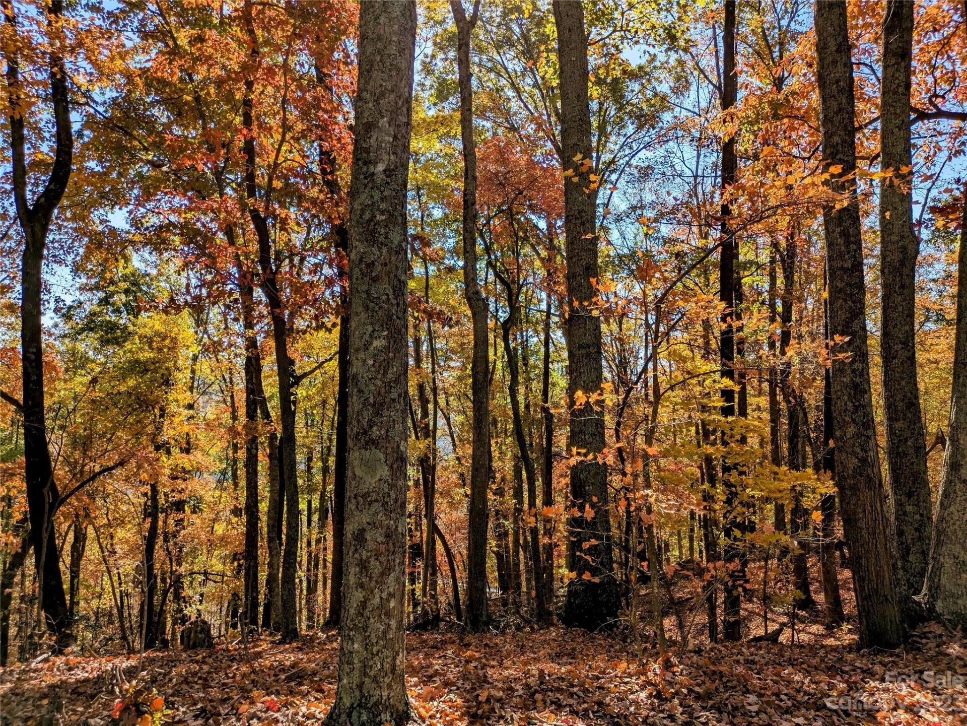 Property image 1 at Lot 28 Hidden Lake Parkway, Nebo, NC 28761