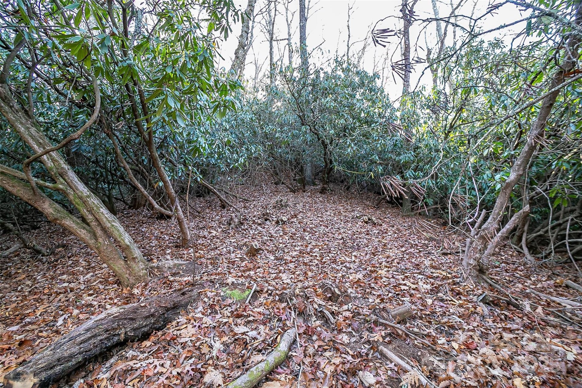 Property image 2 at Tbd Dundee Lane, Pisgah Forest, NC 28768