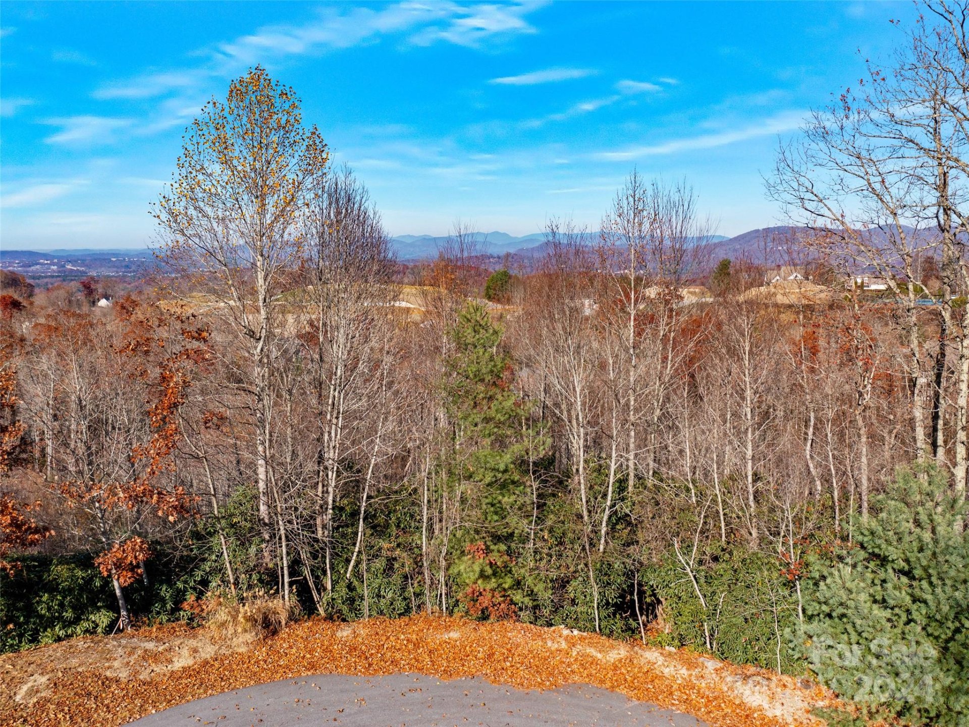 Property image 2 at 99999 Bay Laurel Lane, Hendersonville, NC 28791