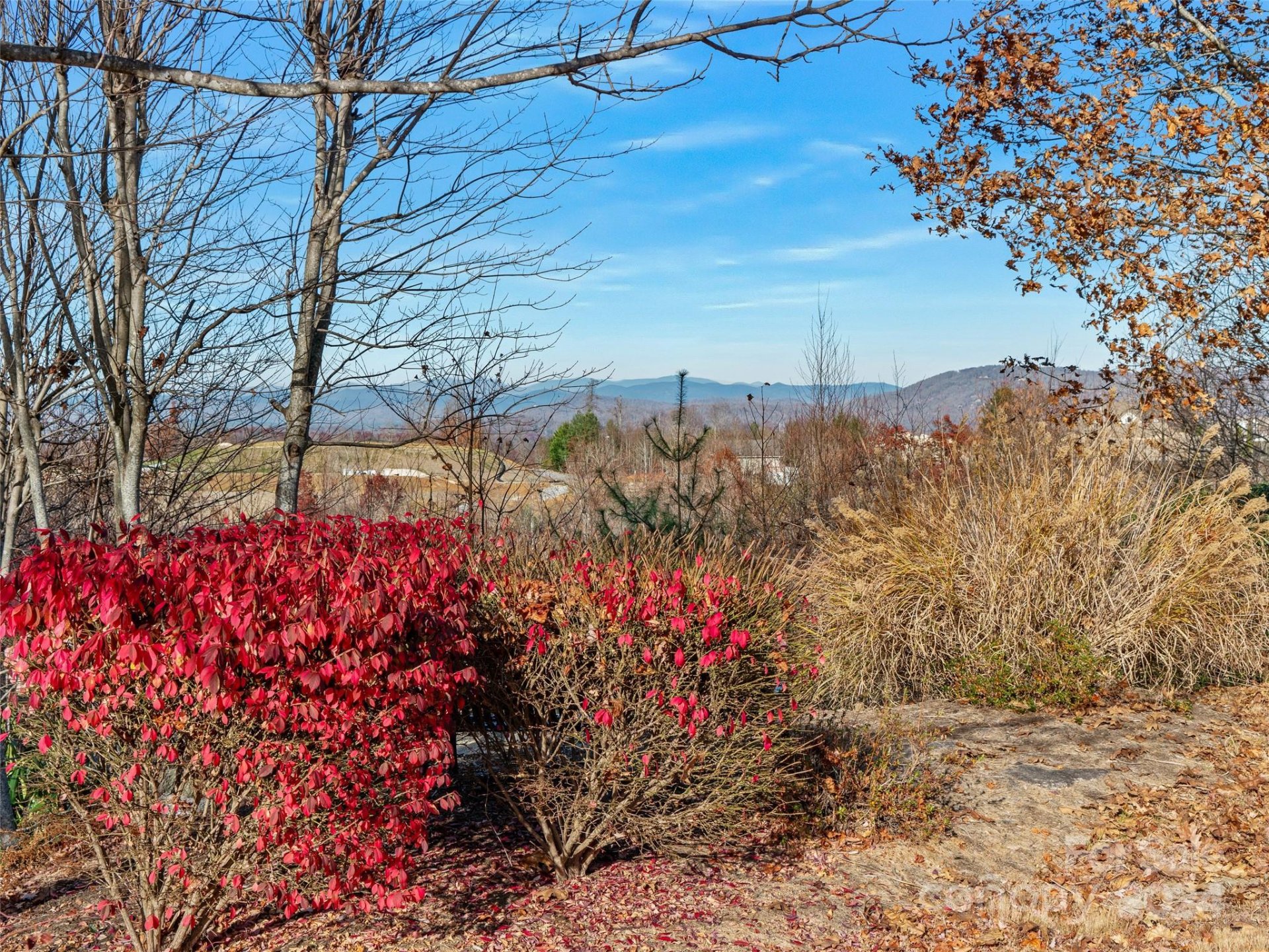 Property image 3 at 99999 Bay Laurel Lane, Hendersonville, NC 28791
