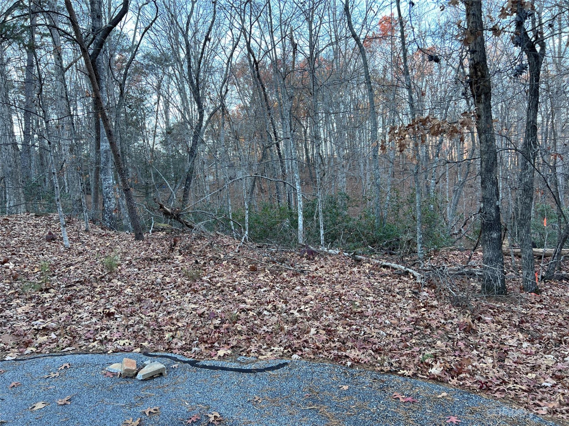 Property image 1 at 0 Rocky Mount Drive, Lake Lure, NC 28746