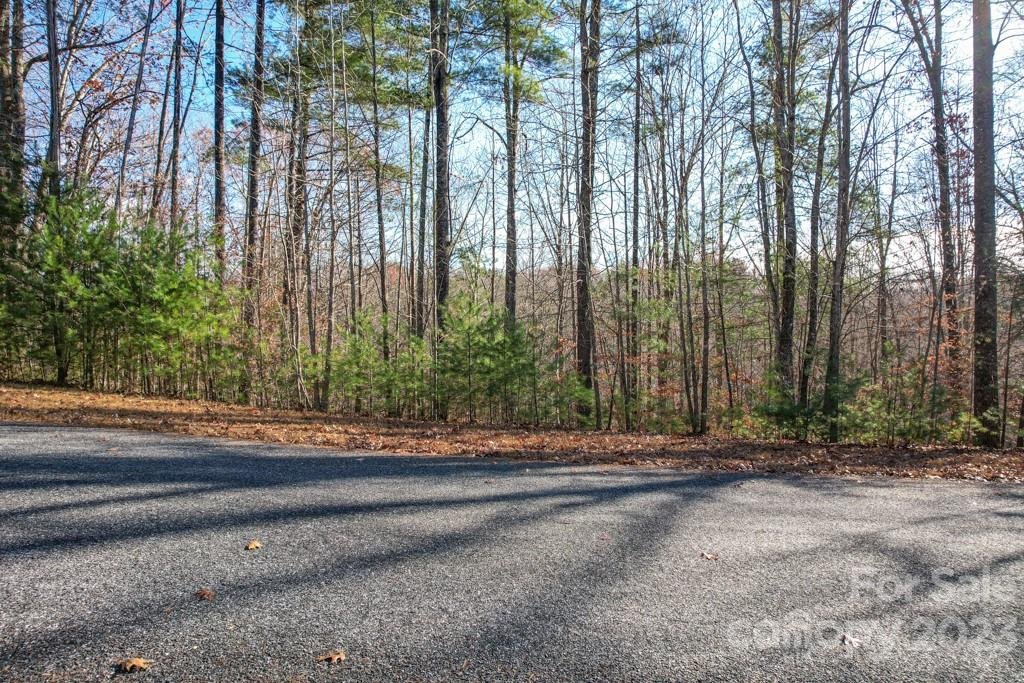 Property image 2 at Tbd Larkhaven Drive, Nebo, NC 28761