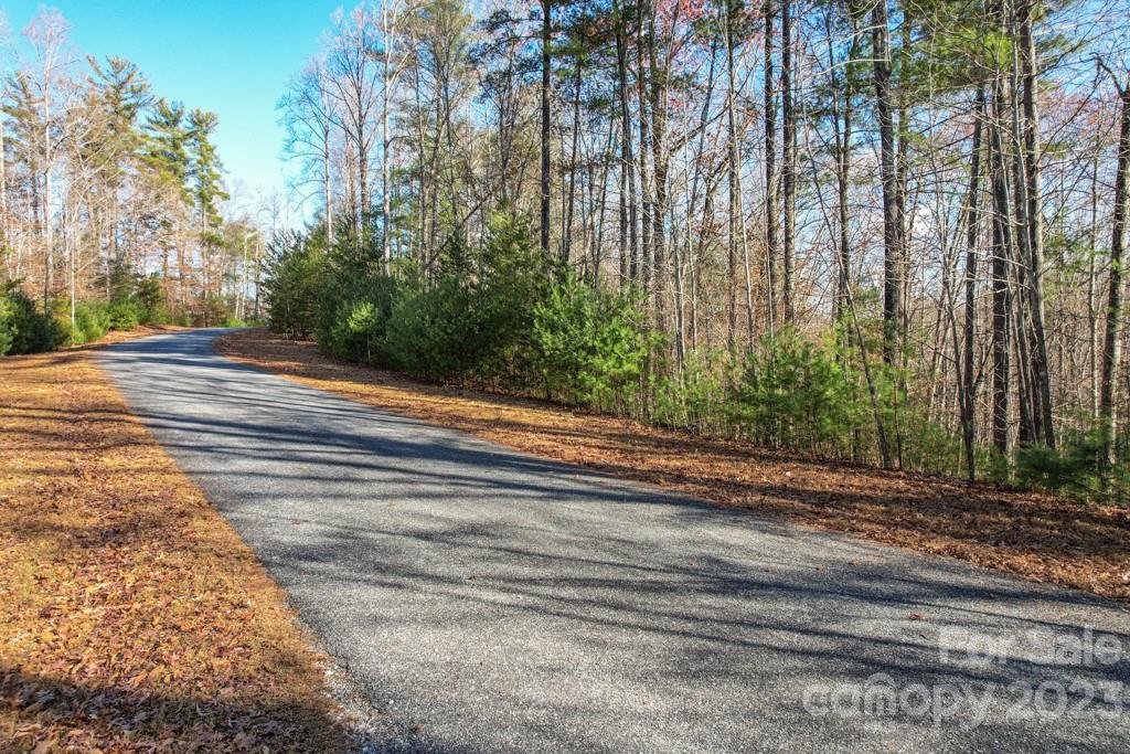Property image 3 at Tbd Larkhaven Drive, Nebo, NC 28761