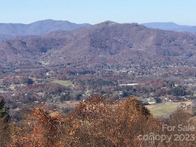 Property image 1 at 1714 Harriets Trail, Waynesville, NC 28786