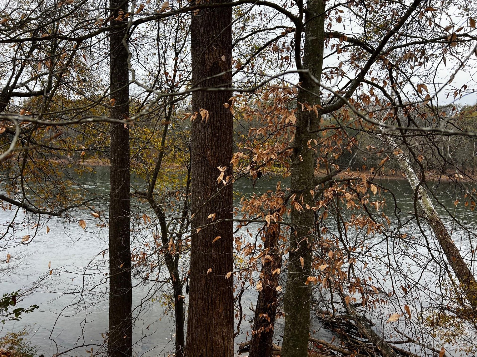 Property image 2 at Lot 154 Lookout Dam Road, Statesville, NC 28625