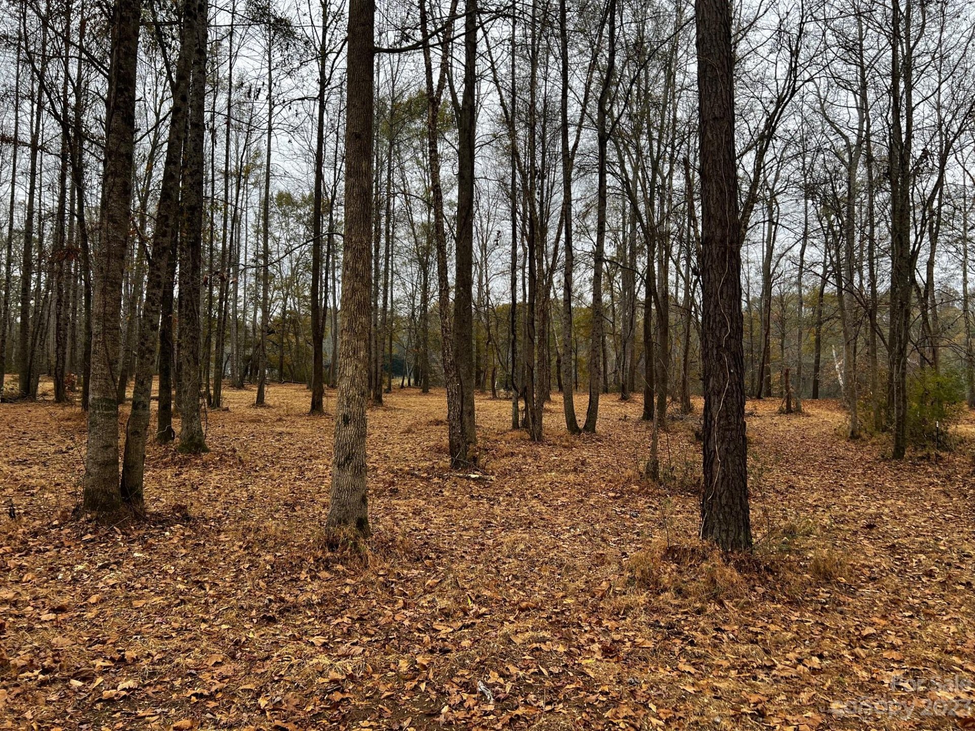 Property image 5 at Lot 154 Lookout Dam Road, Statesville, NC 28625