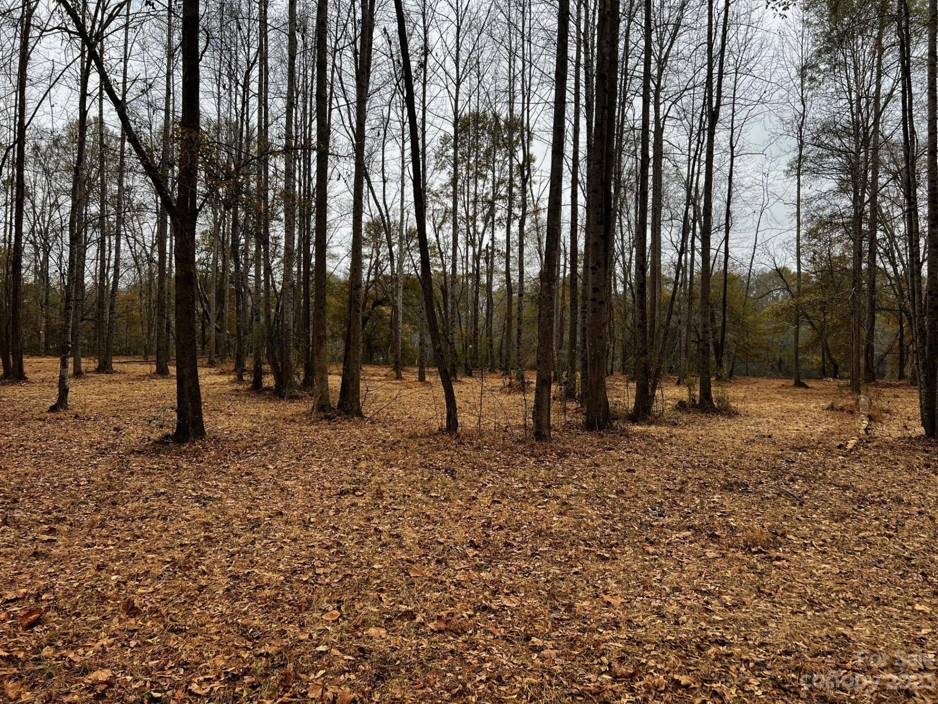 Property image 5 at Lot 155 Lookout Dam Road, Statesville, NC 28625
