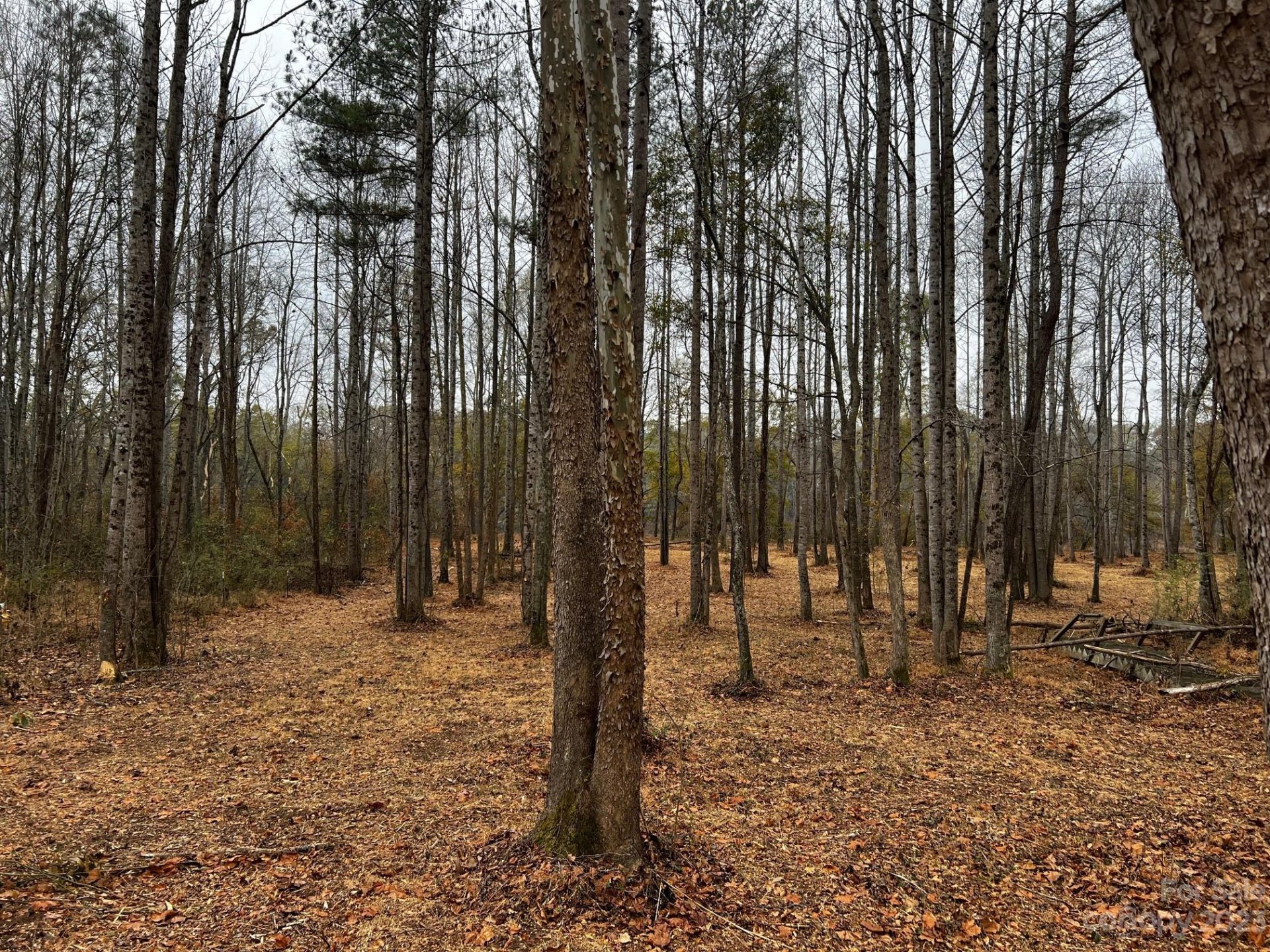 Property image 5 at Lot 156 Lookout Dam Road, Statesville, NC 28625
