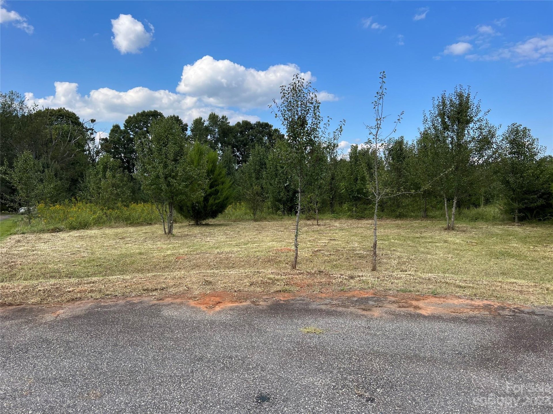 Property image 1 at Lot 19 Hazen Drive, Crouse, NC 28033