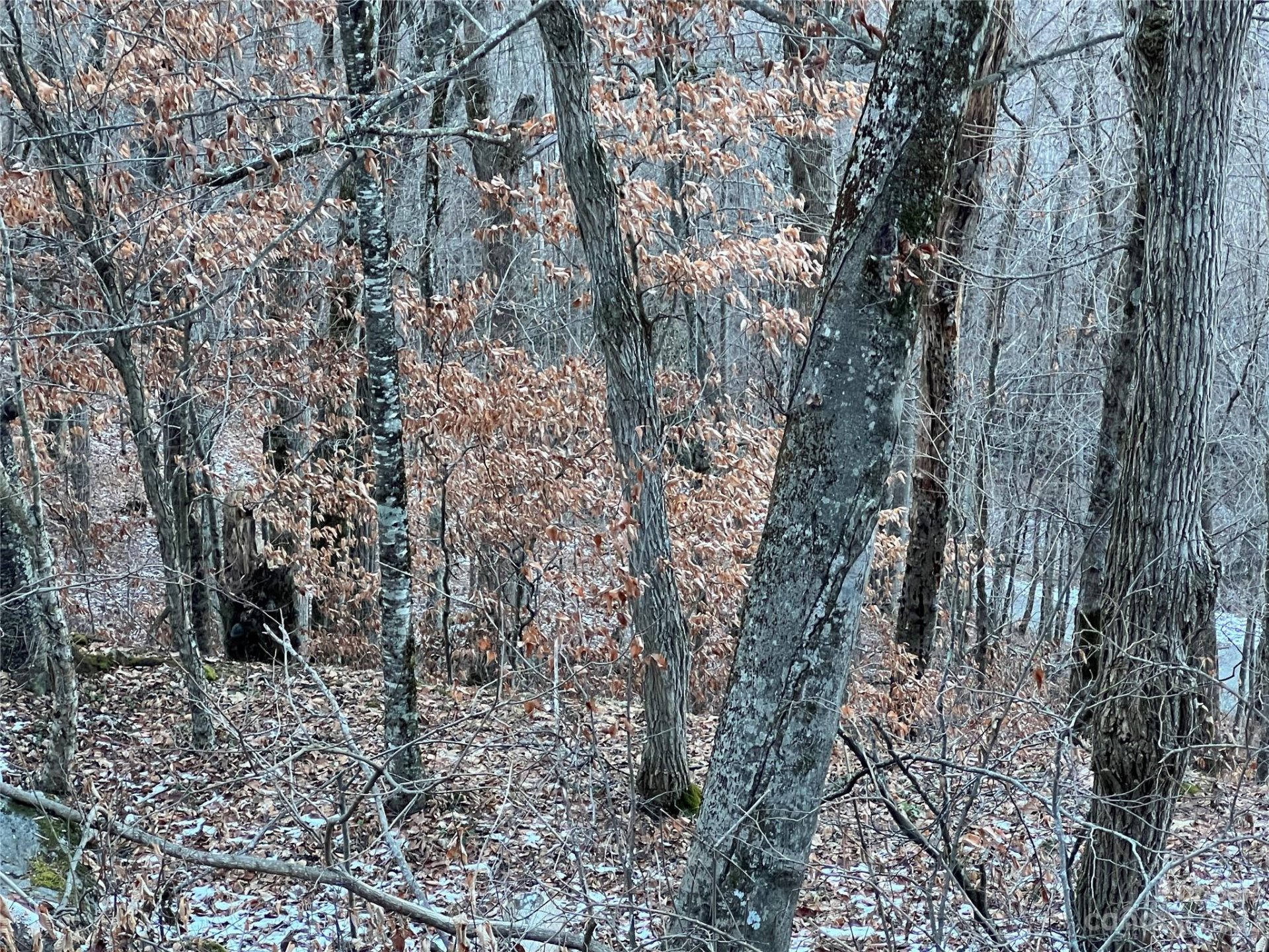 Property at 000 Weaver Lane, Mars Hill, NC 28754