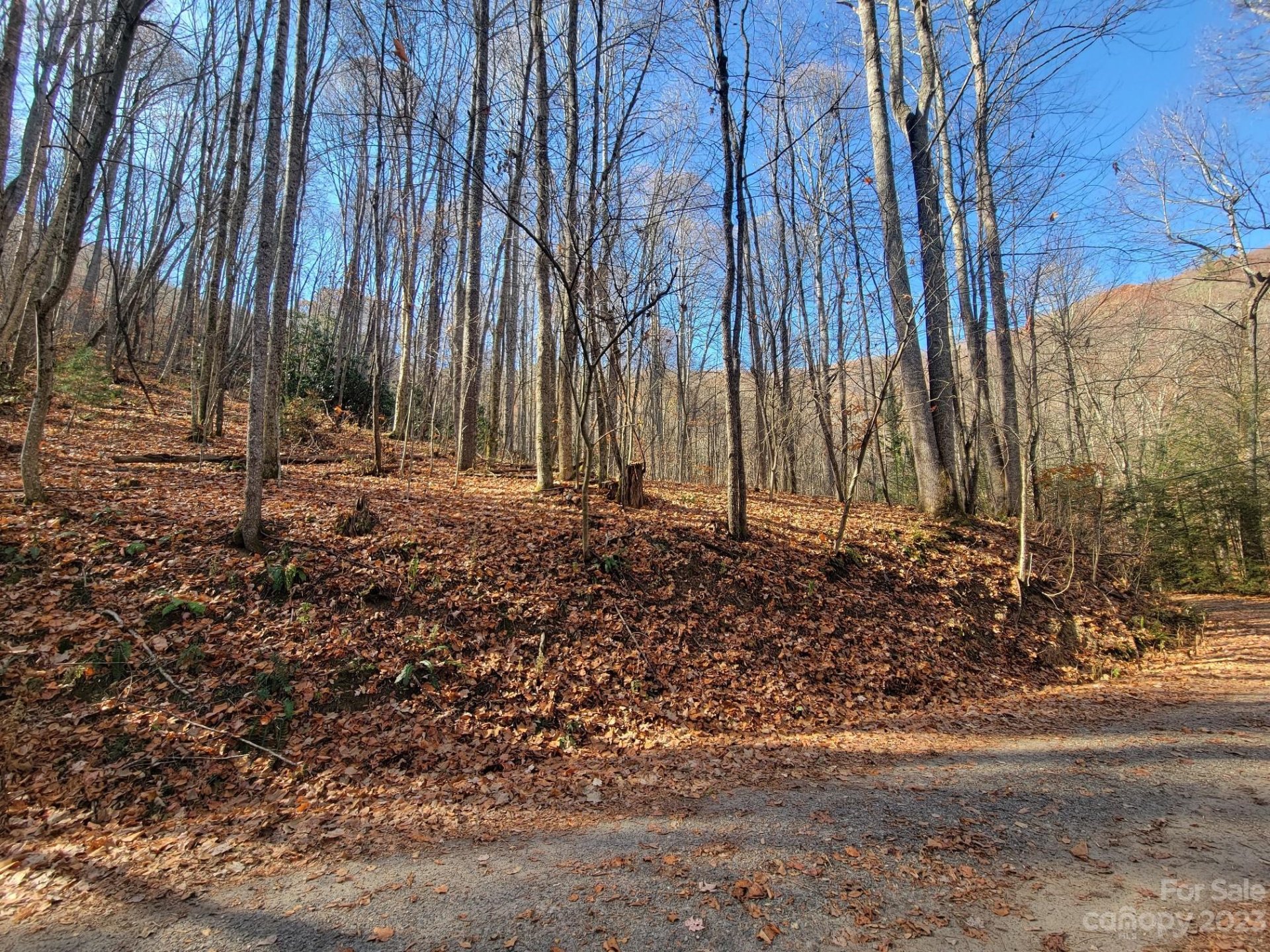 Property image 1 at 23 Forbidden Cove, Waynesville, NC 28785