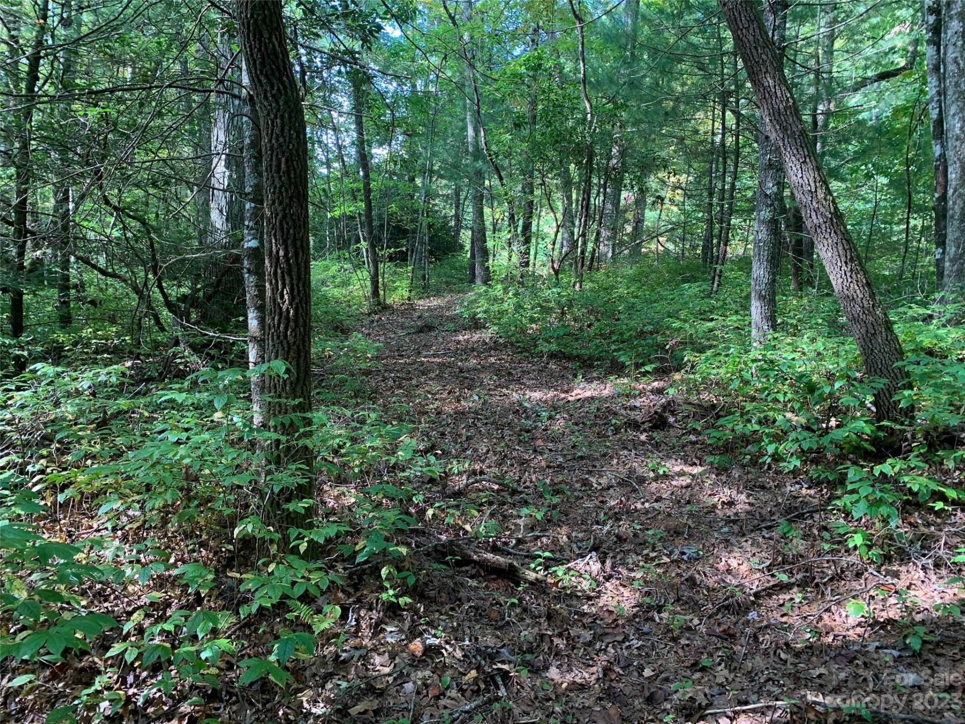 Property image 1 at 0000 Green Hollow Lane, Brevard, NC 28712