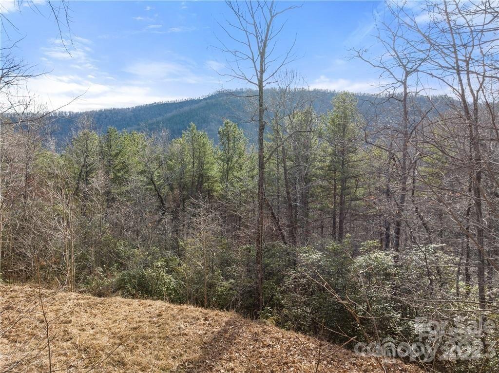 Property at 28 Trillium Lane, Black Mountain, NC 28711