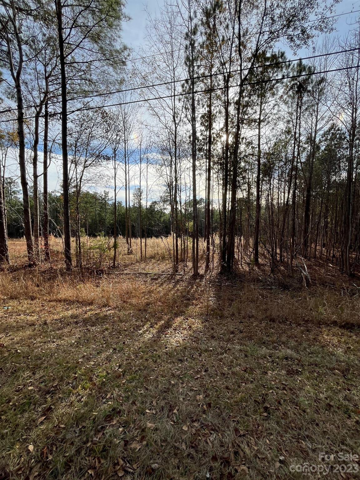 Property image 4 at 116 Trade Mill Court, Winnsboro, SC 29180