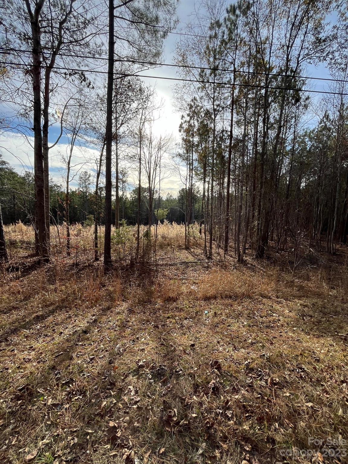 Property image 5 at 116 Trade Mill Court, Winnsboro, SC 29180