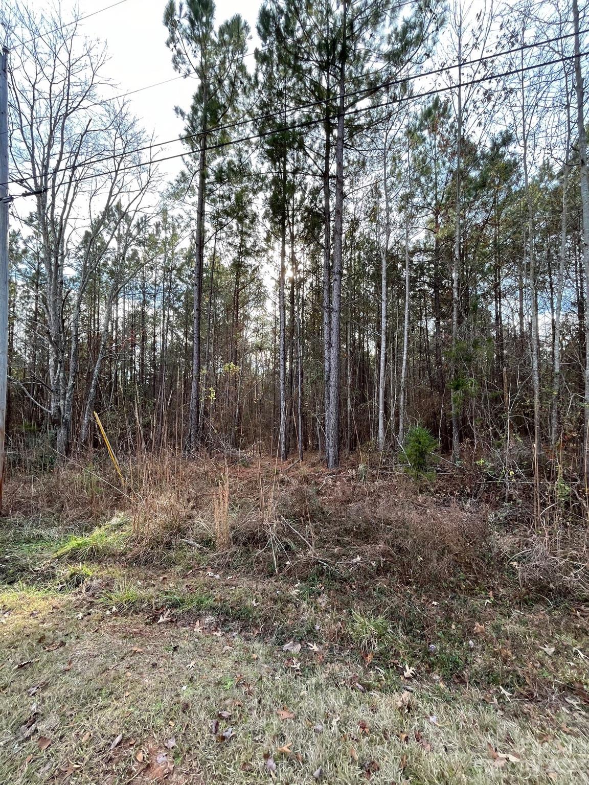 Property image 4 at 44 Trade Mill Court, Winnsboro, SC 29180