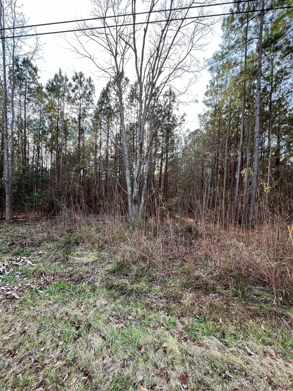 Property image 5 at 44 Trade Mill Court, Winnsboro, SC 29180