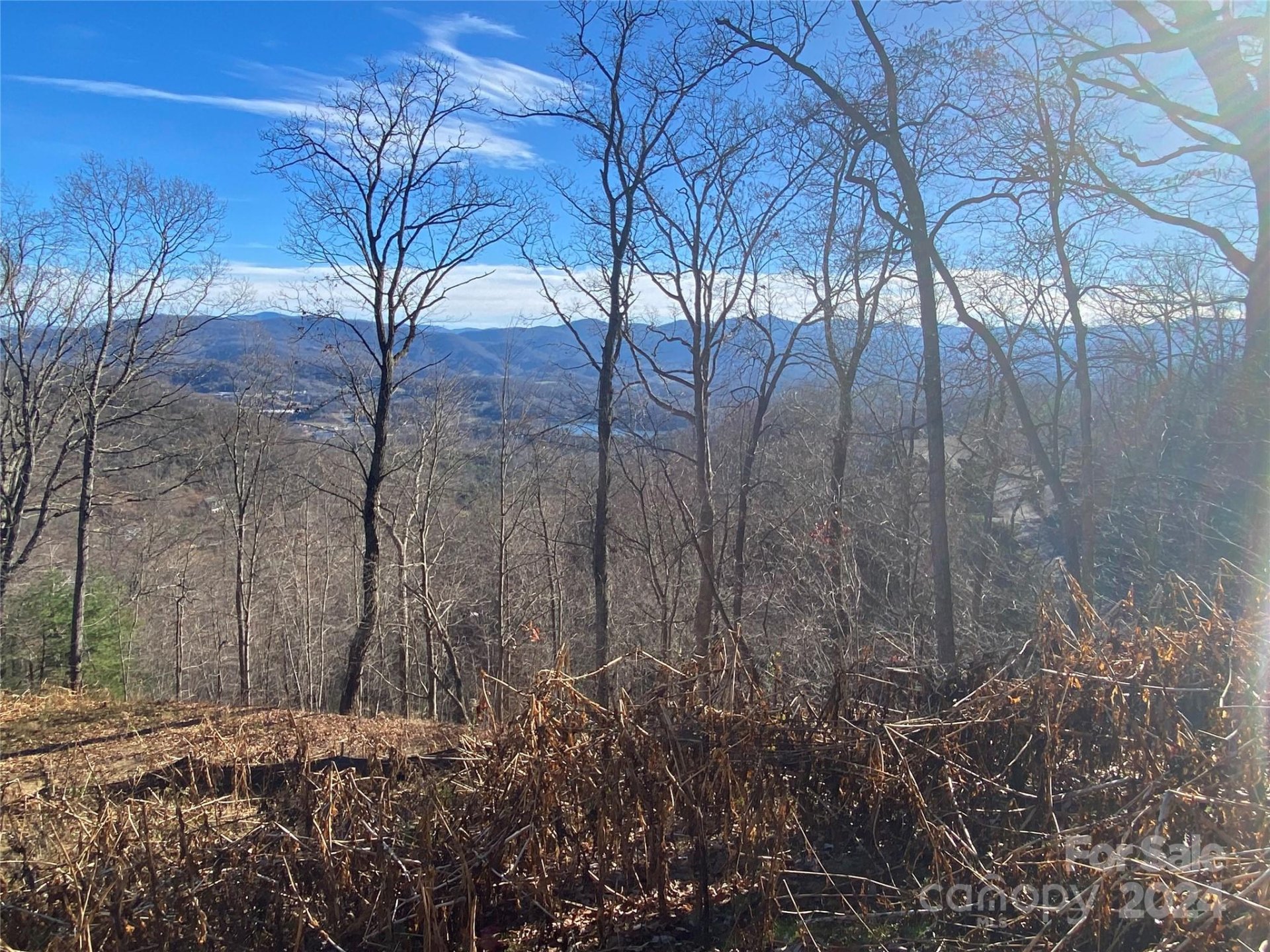 Property image 5 at Lot 47 Montrose Lane, Waynesville, NC 28785
