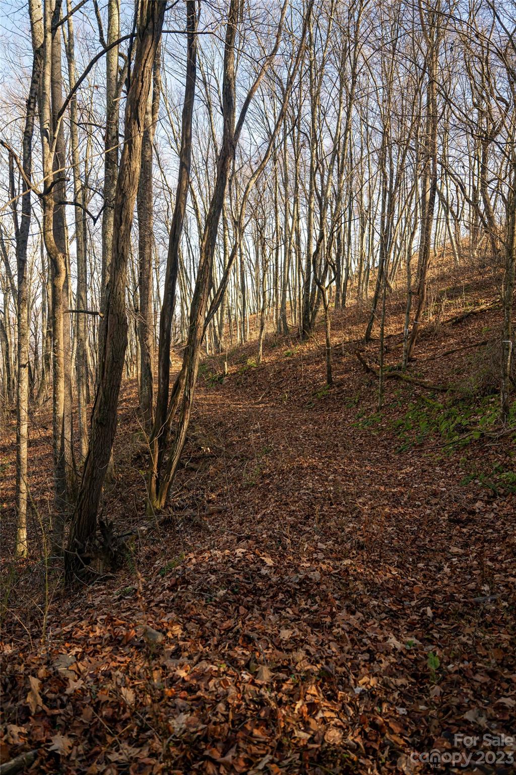 Property image 1 at Lot 37 Sleepy Hollow Drive, Waynesville, NC 28785