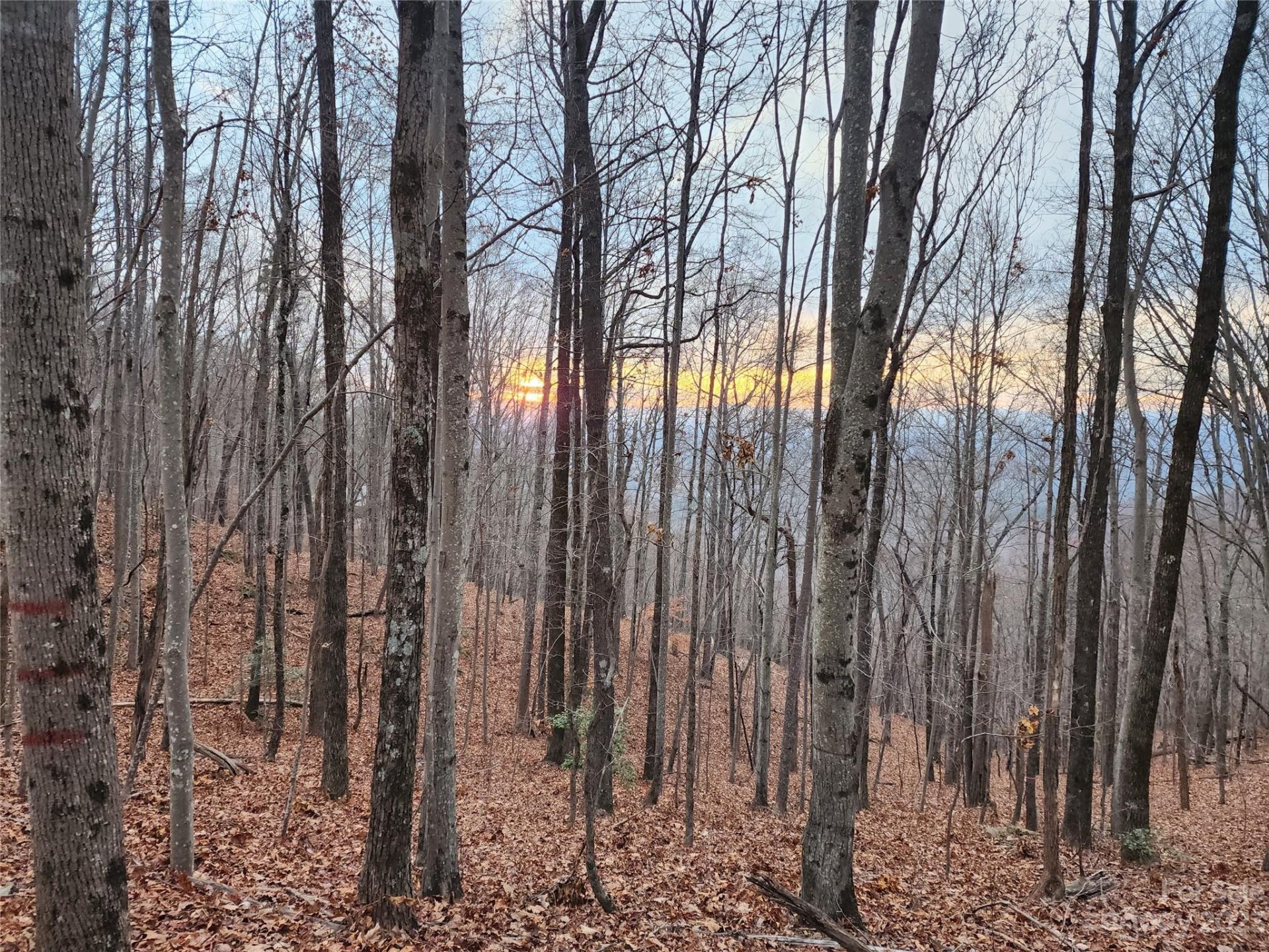 Property at 22 Mountain Lookout Drive, Bostic, NC 28018