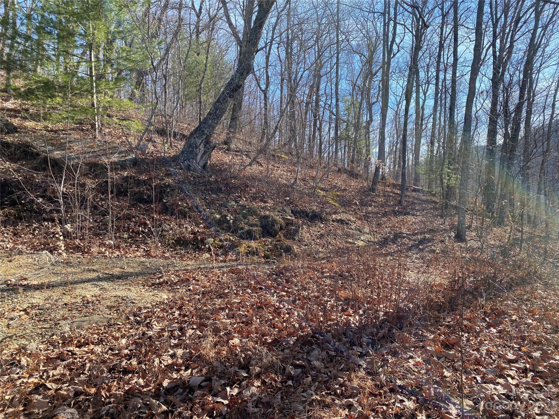 Property image 2 at Lt 73 Pilot Knob Road, Glenville, NC 28736