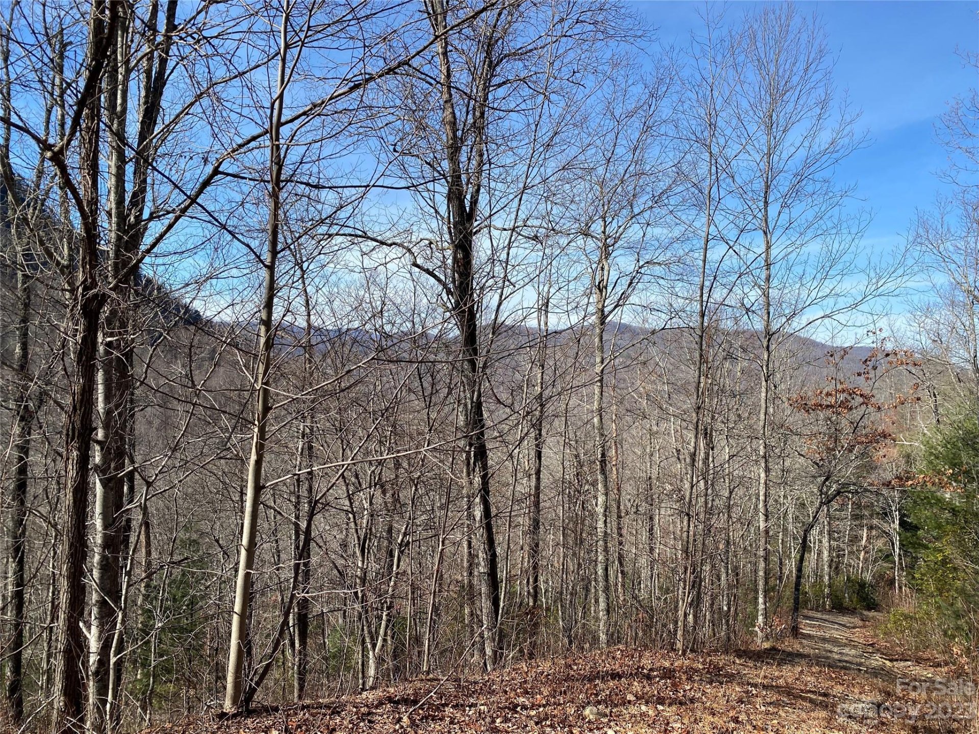 Property image 3 at Lt 73 Pilot Knob Road, Glenville, NC 28736