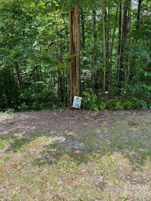 Property image 1 at 78 Peppervine Circle, Rosman, NC 28772