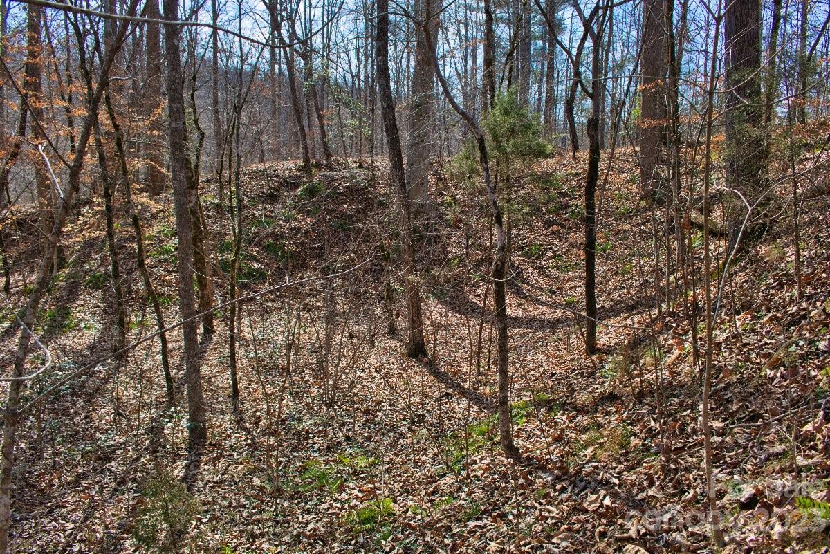 Property image 4 at 0 Woodstock Lane, Rutherfordton, NC 28139