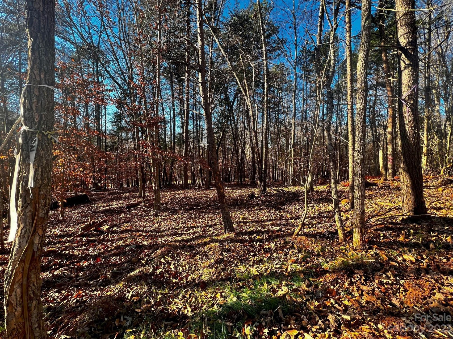 156 Copper Pine Lane