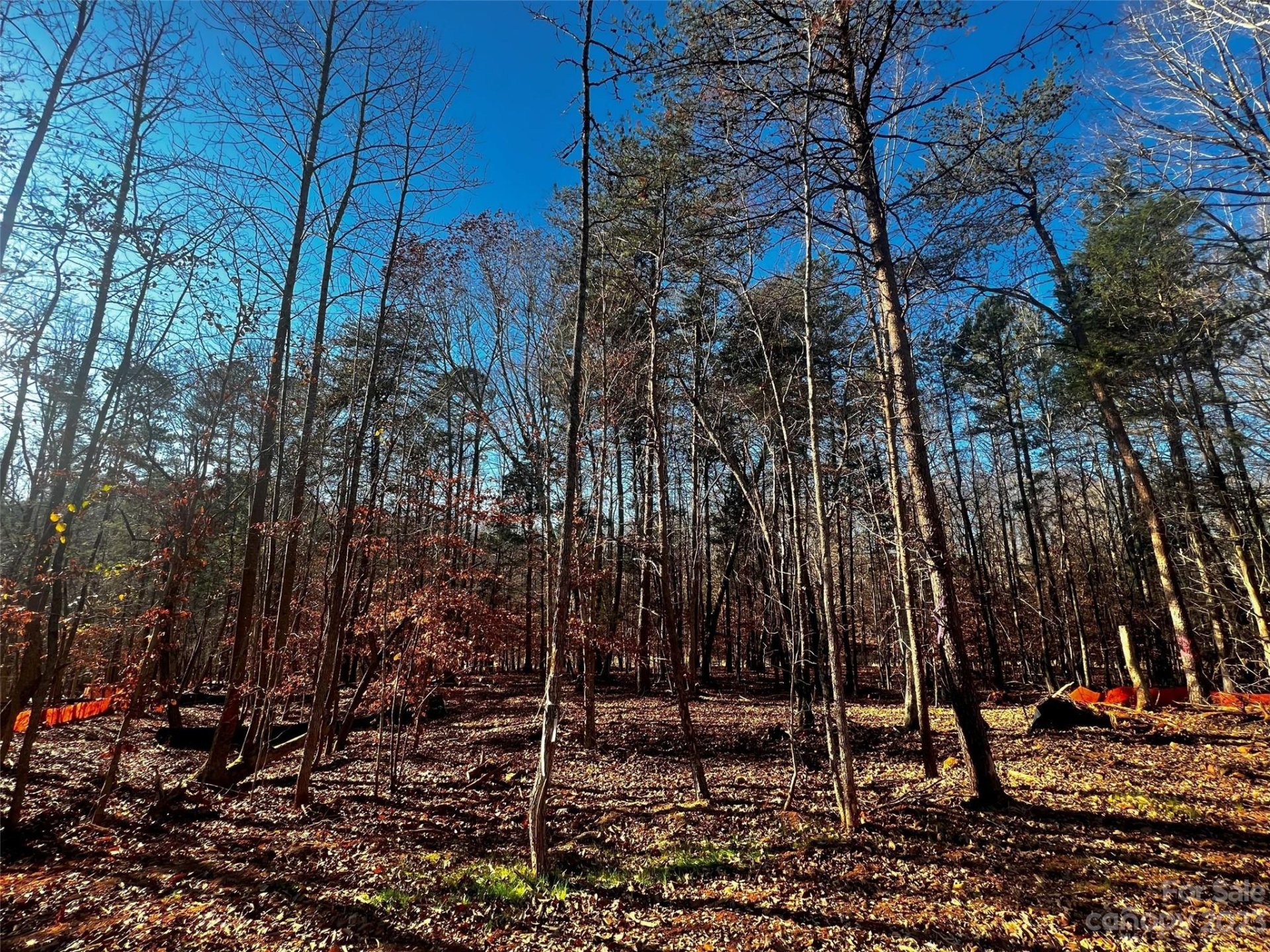 Property image 3 at 156 Copper Pine Lane, Davidson, NC 28036