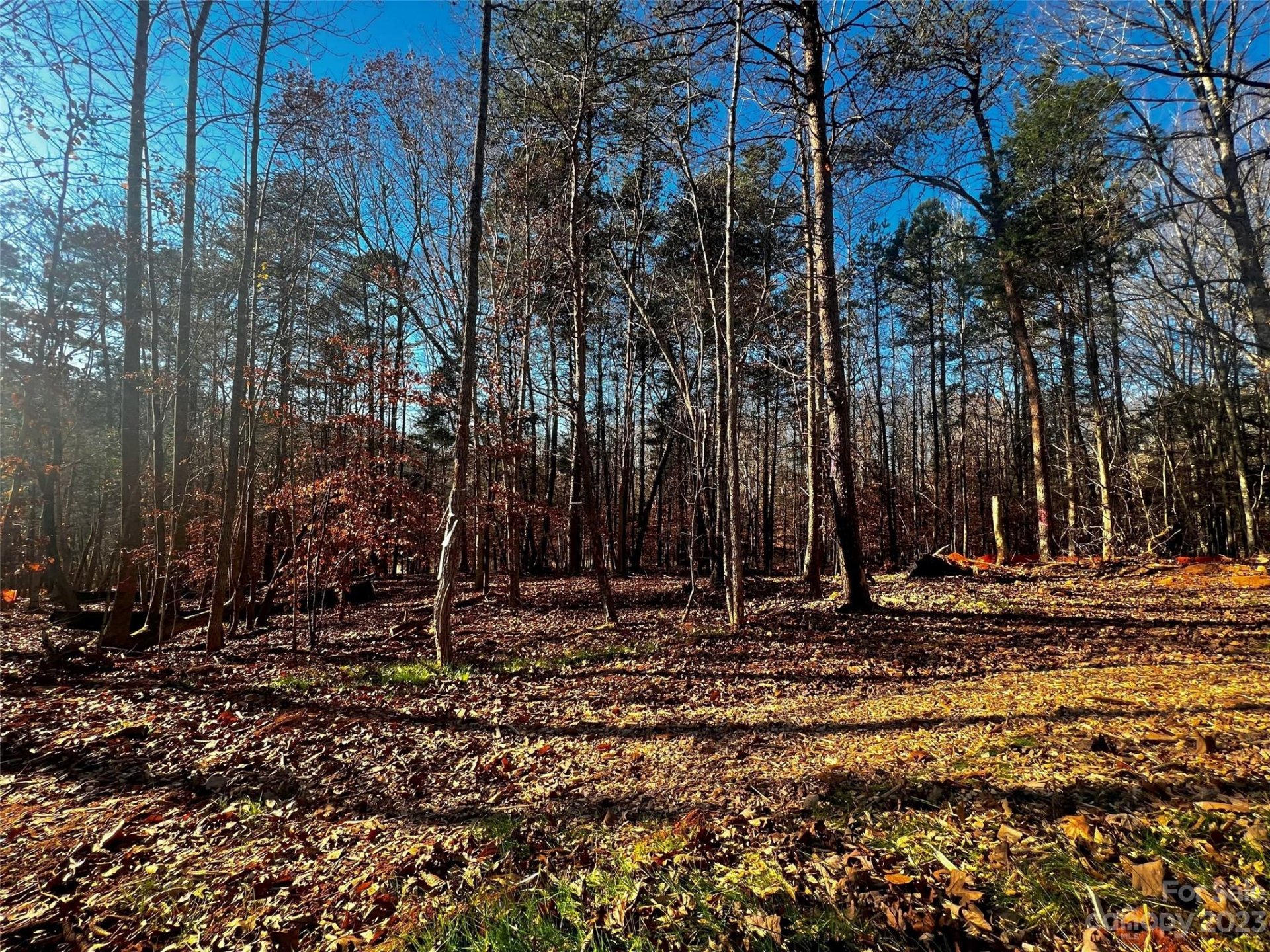 Property image 4 at 156 Copper Pine Lane, Davidson, NC 28036