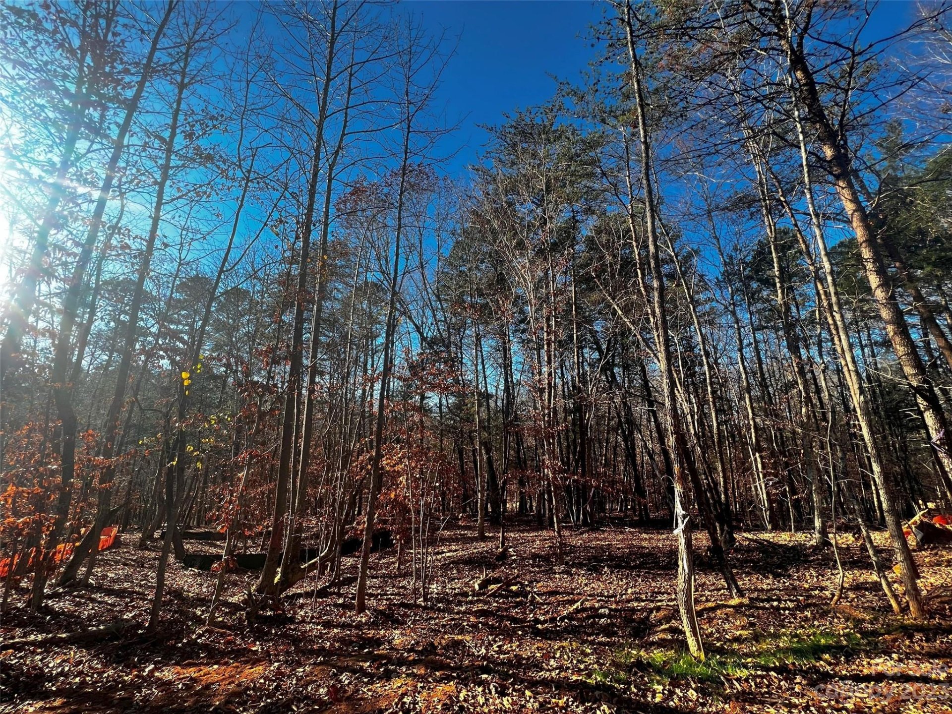 Property image 5 at 156 Copper Pine Lane, Davidson, NC 28036