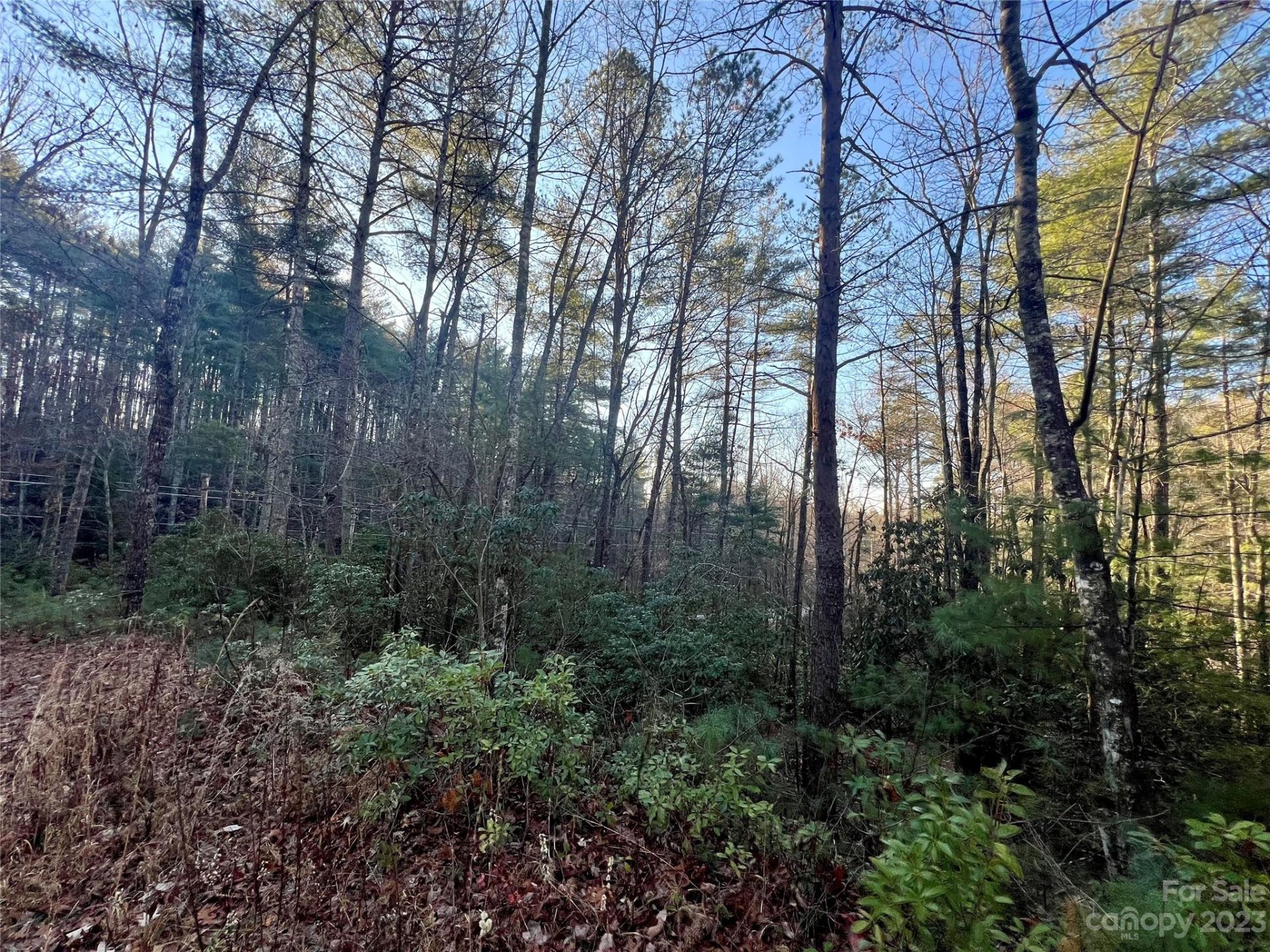 Property image 3 at Tbd Frozen Creek Road, Brevard, NC 28712