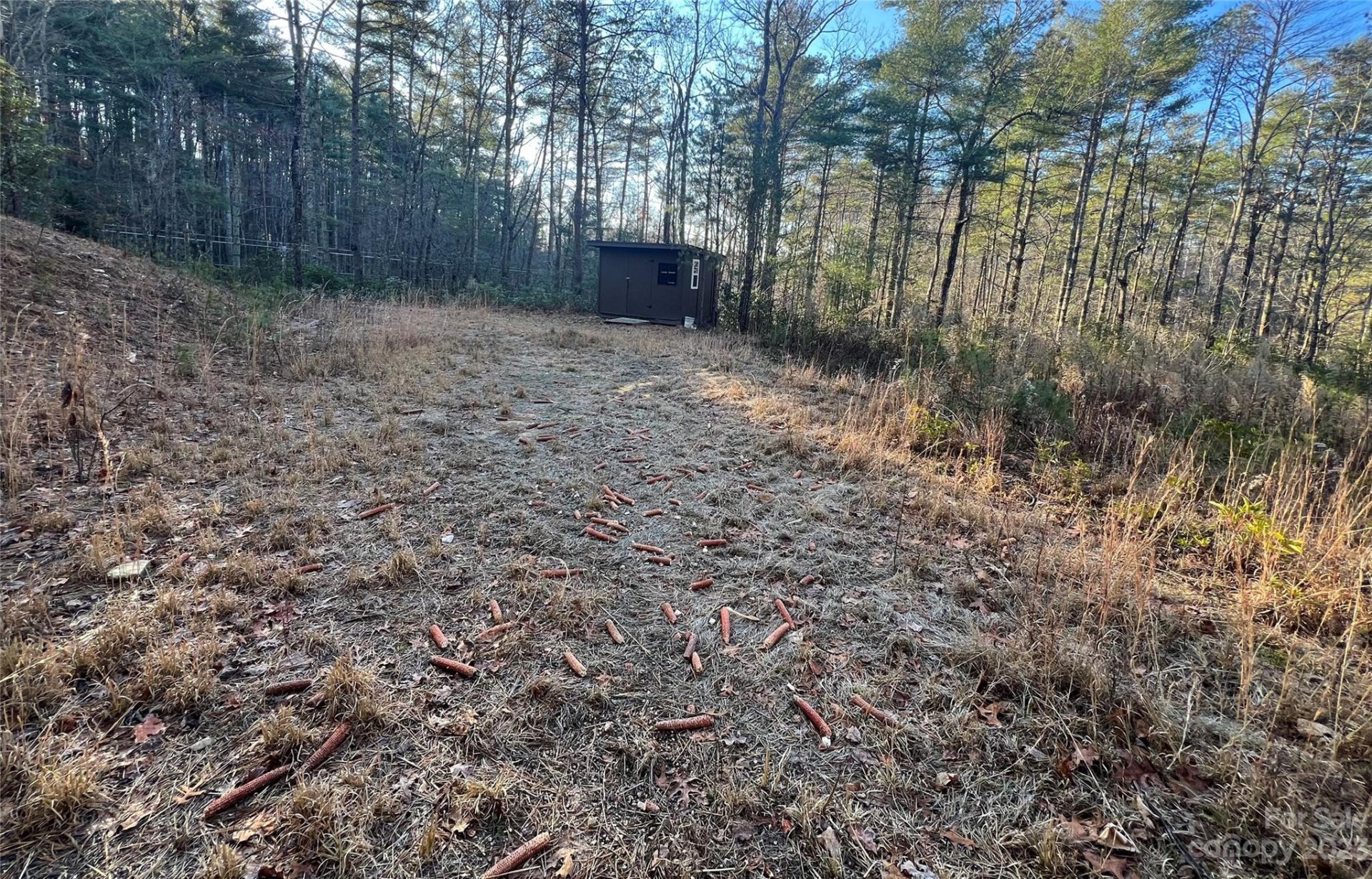 Property image 5 at Tbd Frozen Creek Road, Brevard, NC 28712