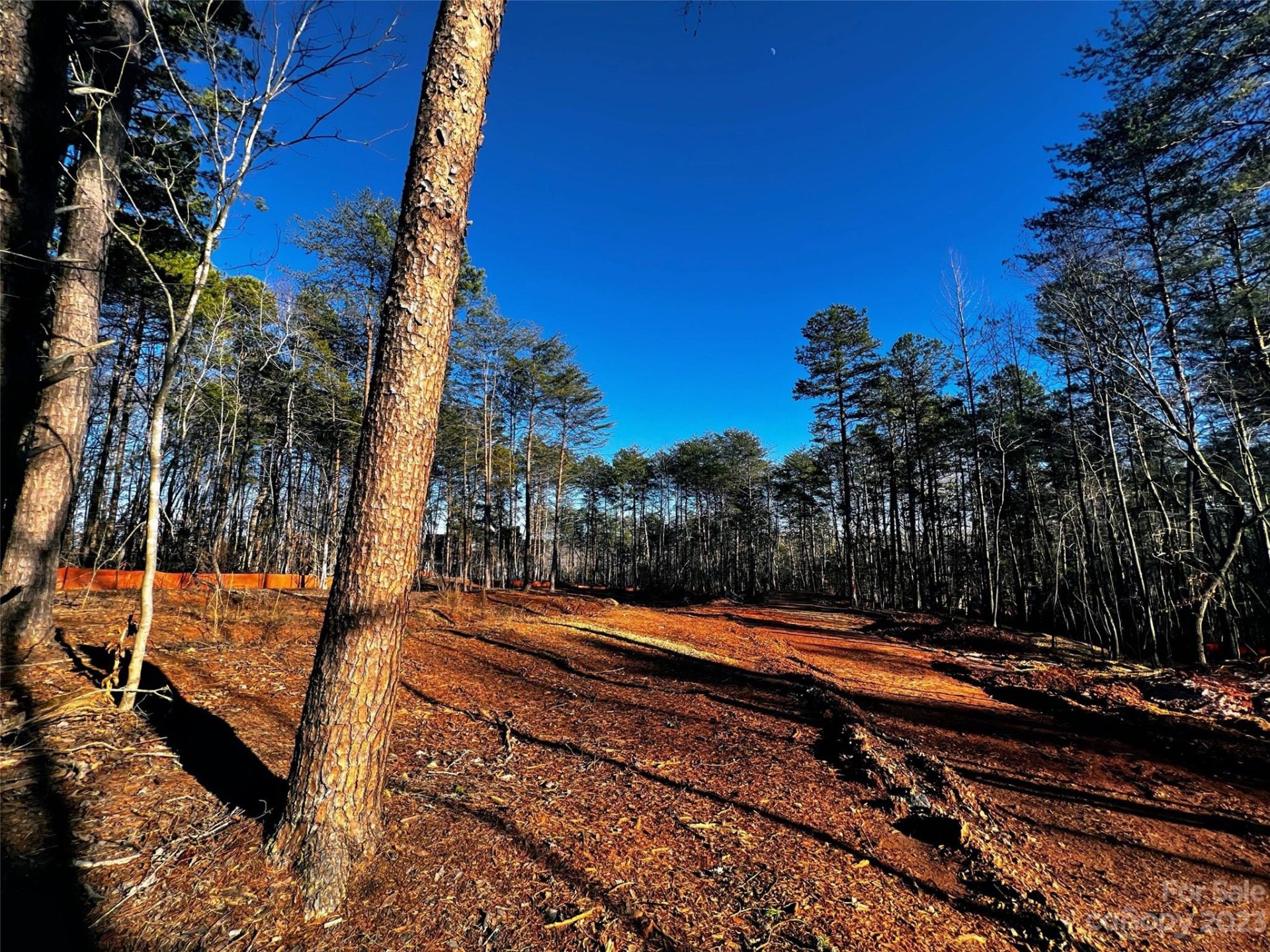 Property image 3 at 130 Hunt Camp Trail, Davidson, NC 28036