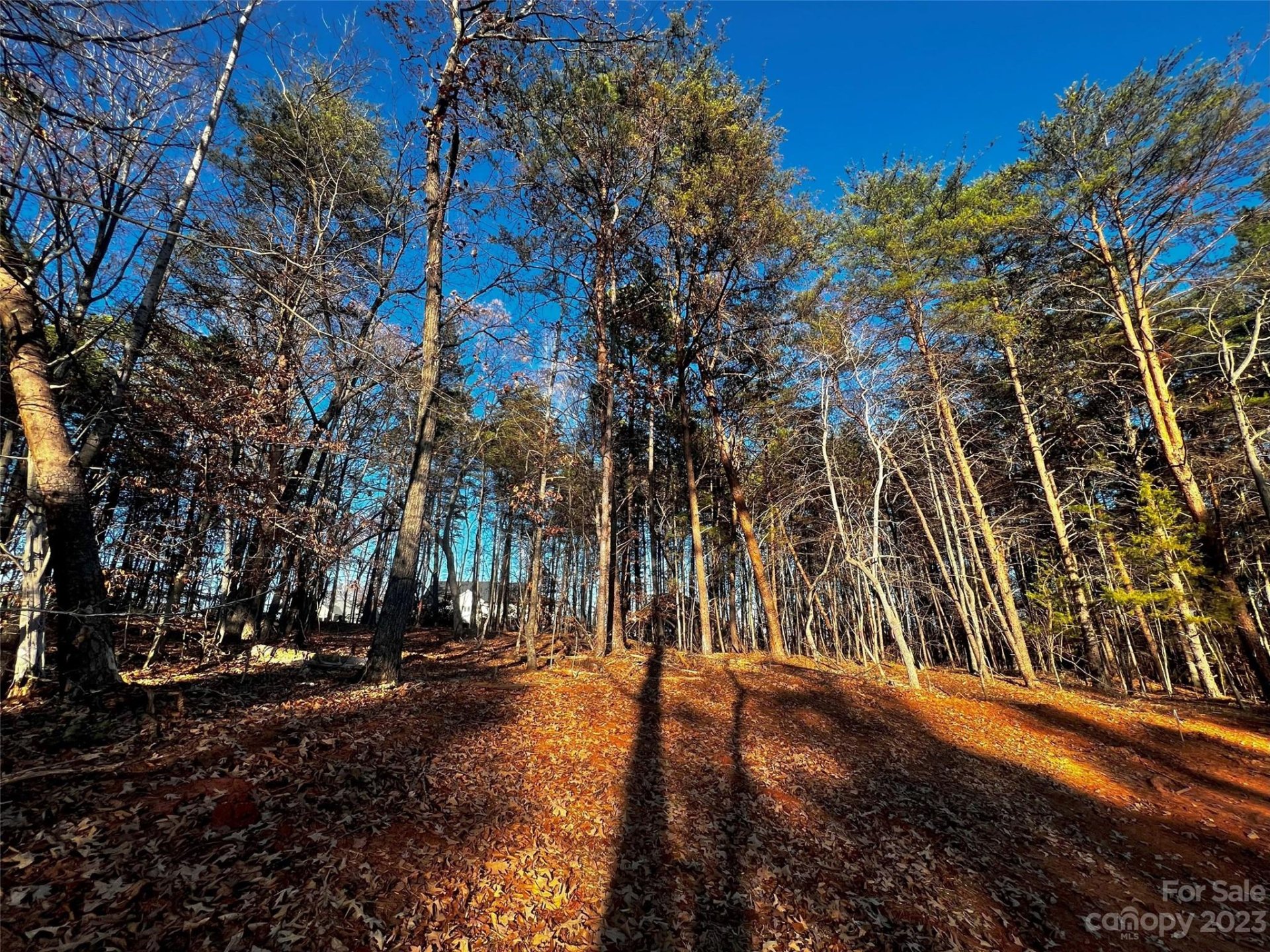 127 Hunt Camp Trail