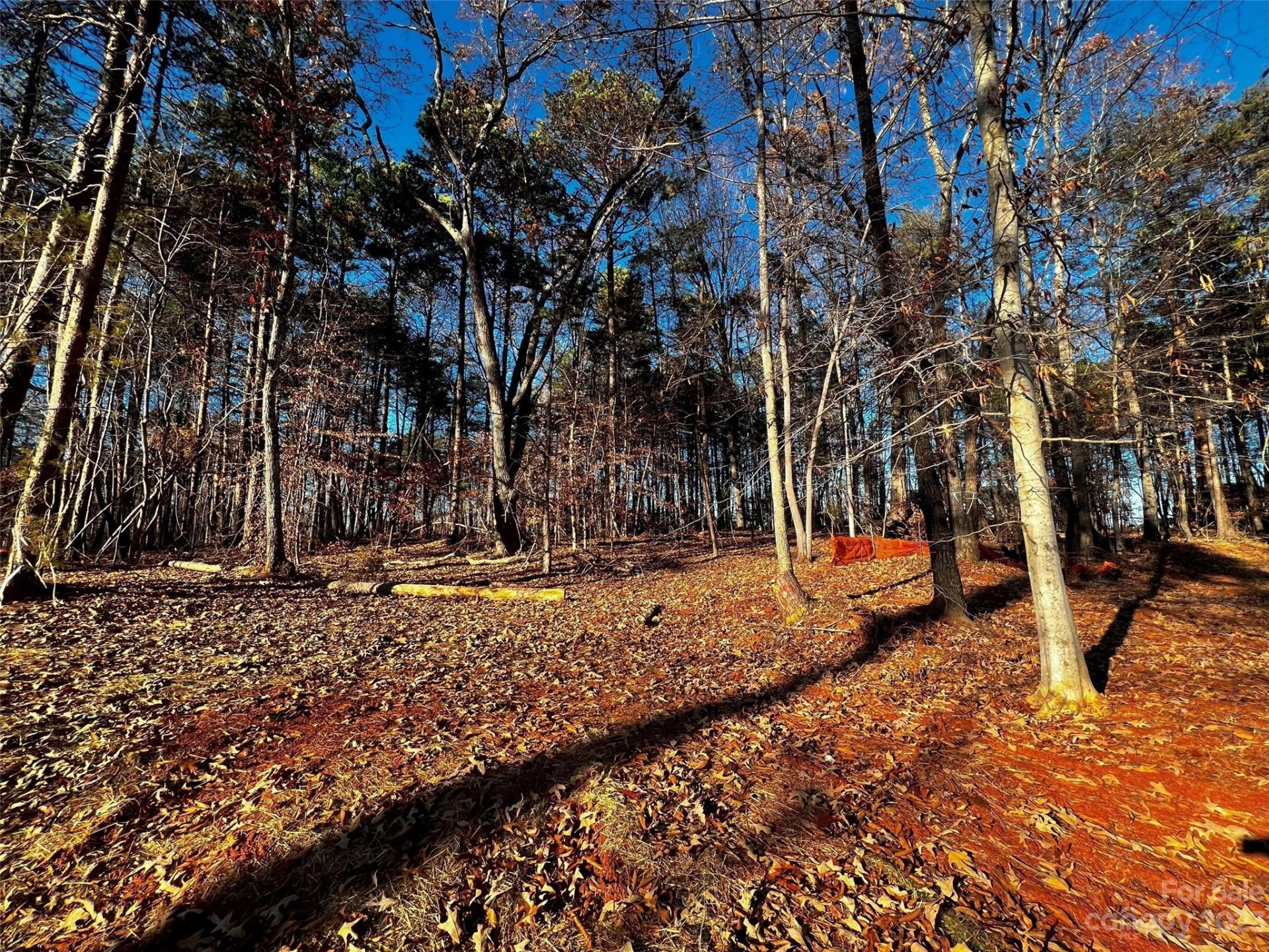 123 Hunt Camp Trail
