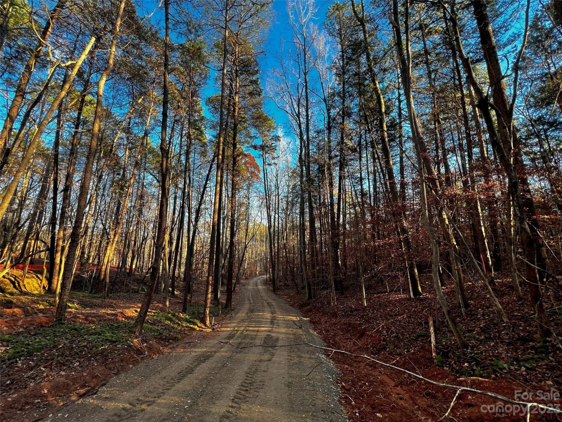 Copper Pine, Davidson community