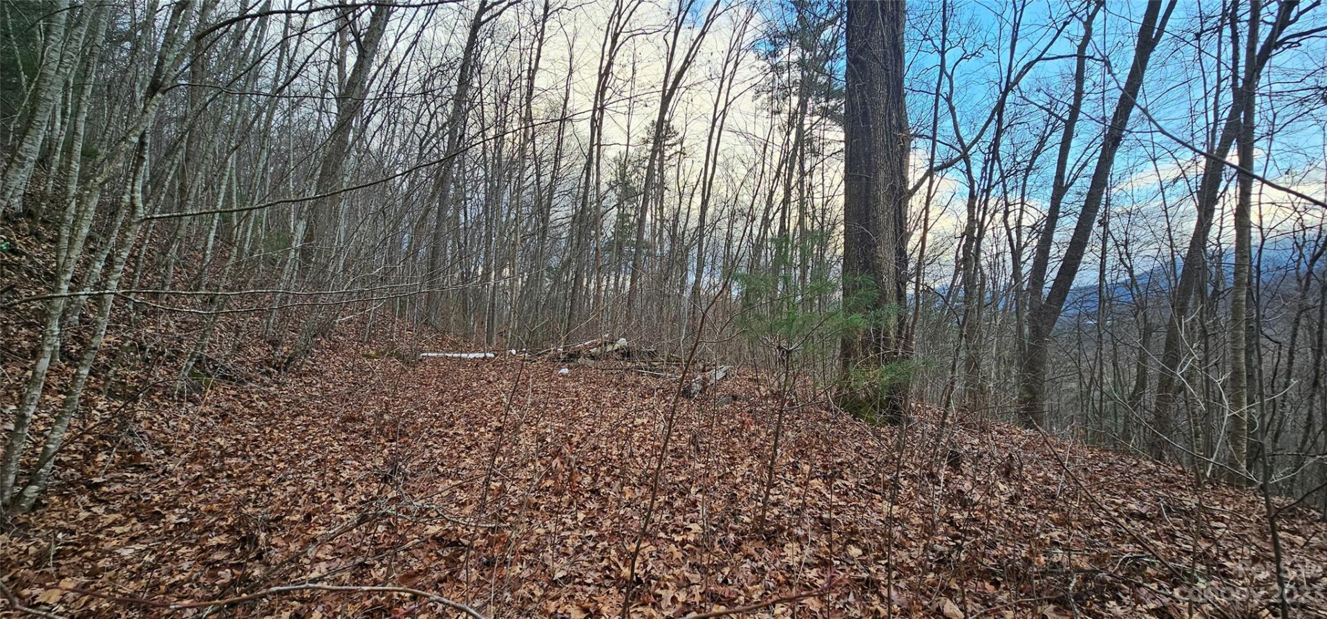 Property image 3 at Lot 8 Seay Mountain Road, Waynesville, NC 28785