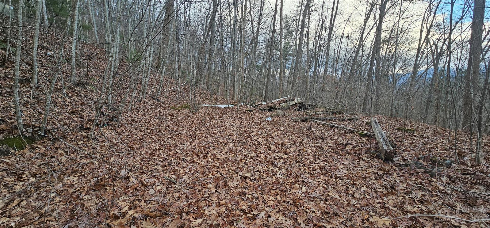 Property image 4 at Lot 8 Seay Mountain Road, Waynesville, NC 28785