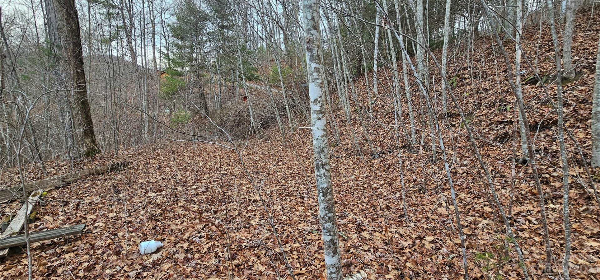 Property image 5 at Lot 8 Seay Mountain Road, Waynesville, NC 28785