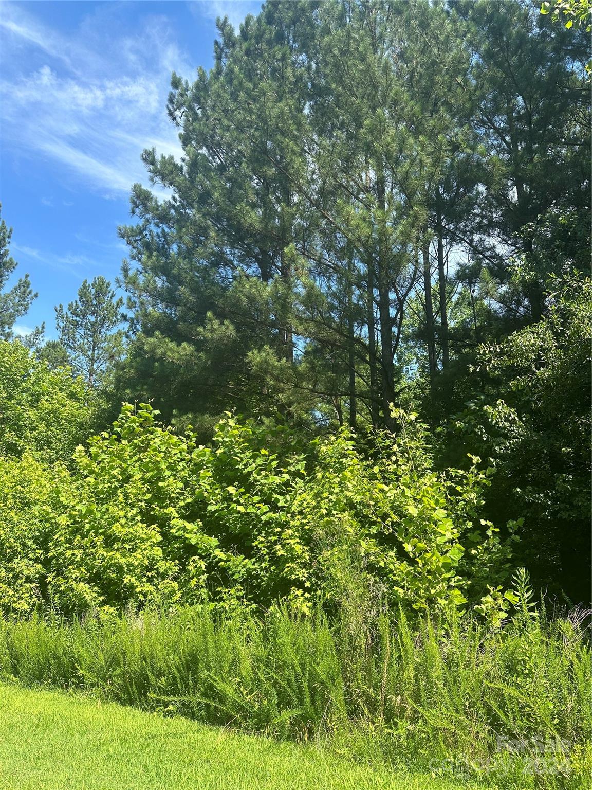 Property image 2 at 5135 Star Magnolia Court, Clover, SC 29710