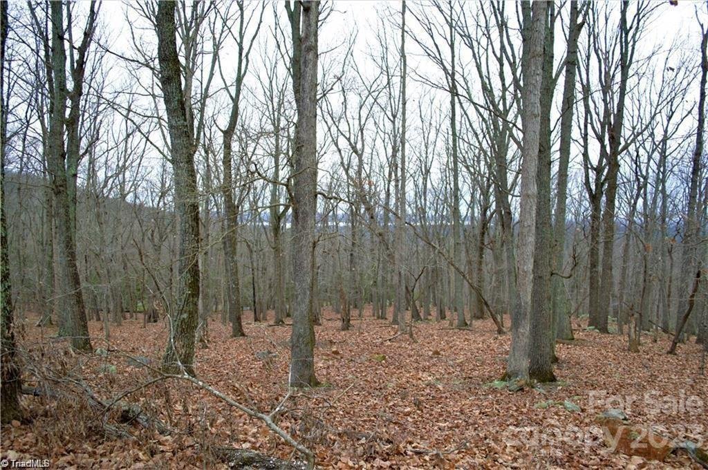 Property image 3 at 2119 Sierra Trace Road, Denton, NC 27239