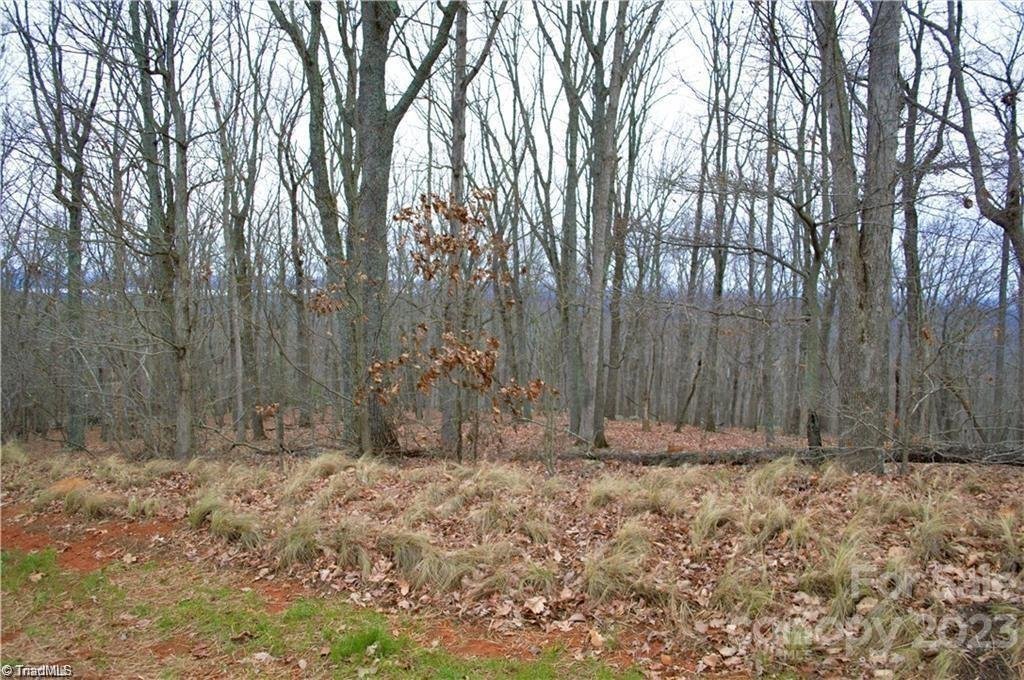 Property image 5 at 2119 Sierra Trace Road, Denton, NC 27239