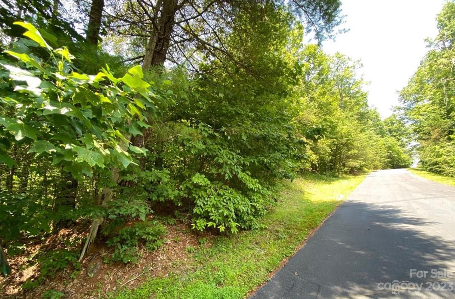 Property image 2 at 68 Stepp Ridge Court, Hendersonville, NC 28792
