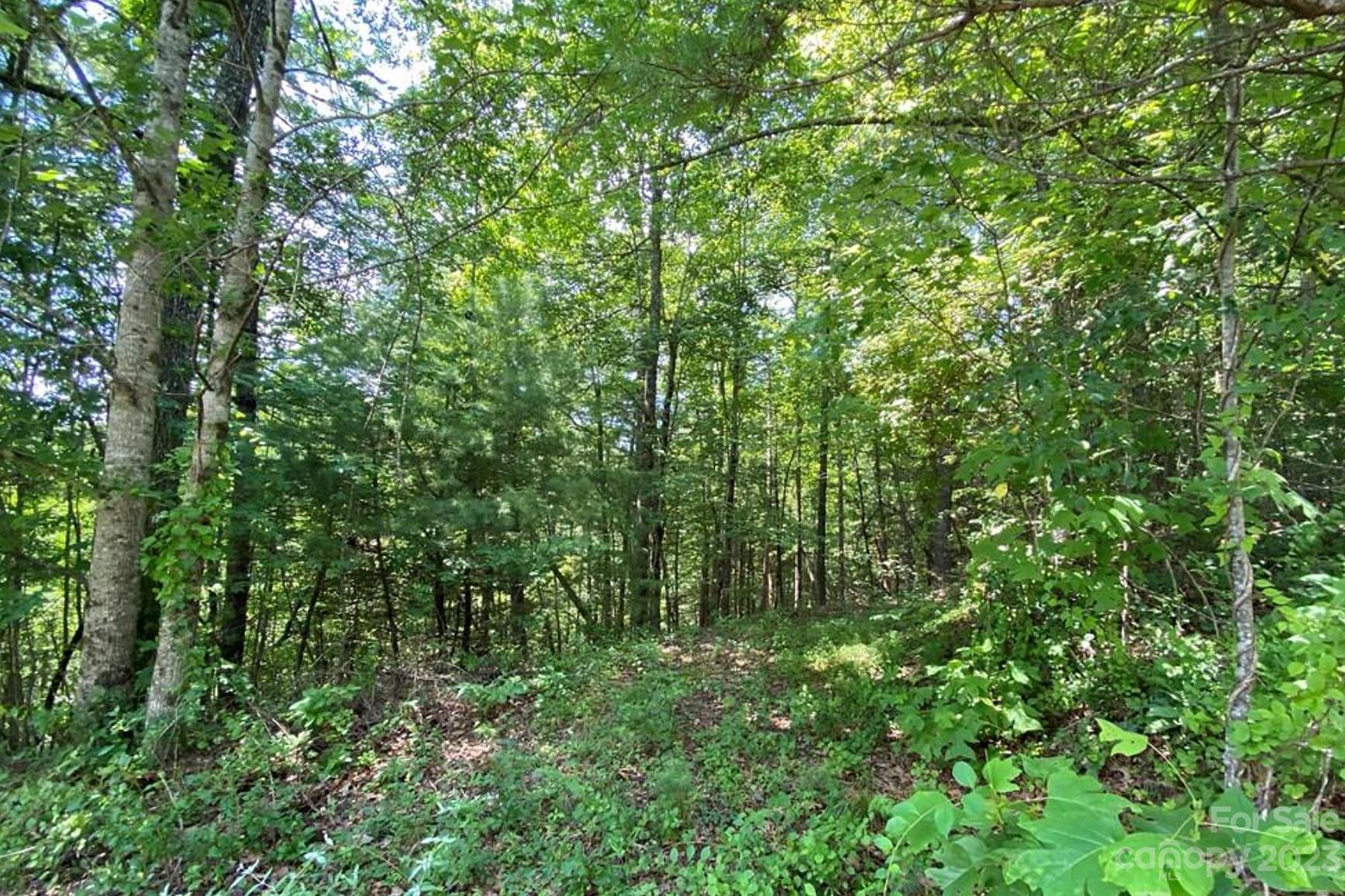 Property image 5 at 68 Stepp Ridge Court, Hendersonville, NC 28792
