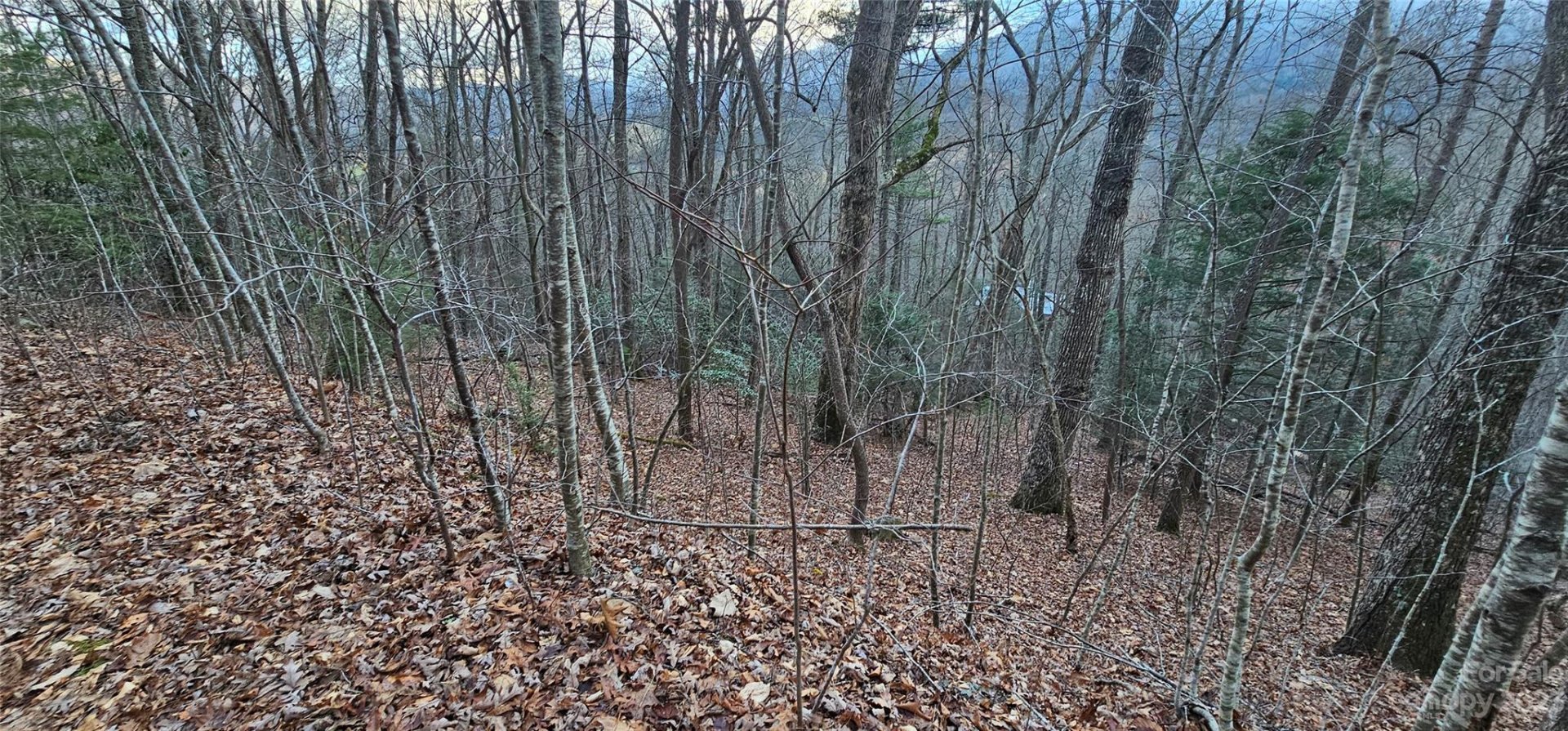 Property image 4 at Lot 9 Seay Mountain Road, Waynesville, NC 28785