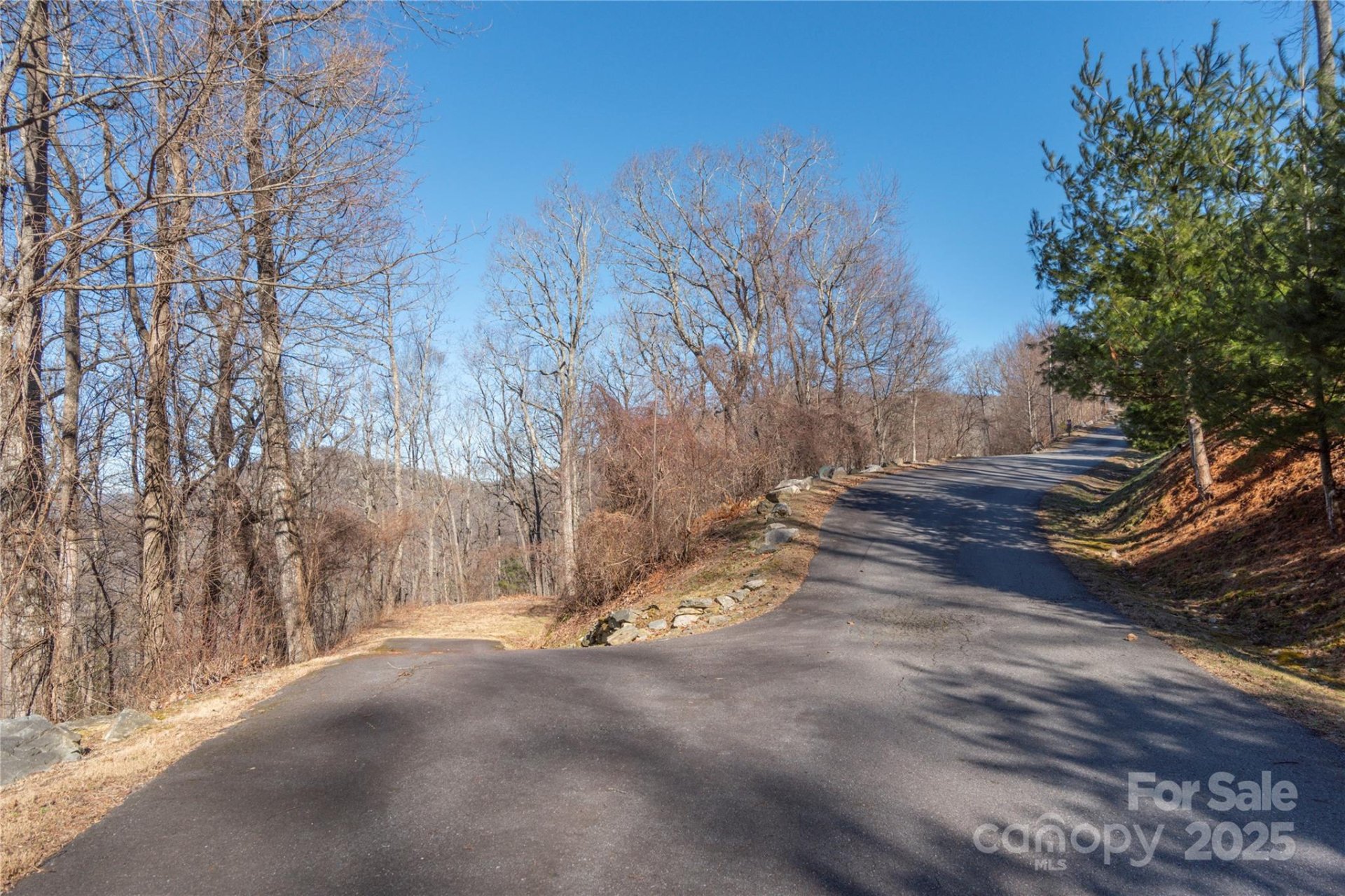 96 Castanea Mountain Drive